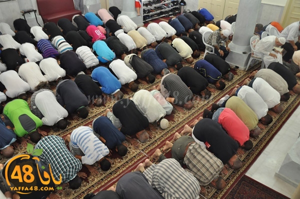 tarawee7 salah nozha (7).JPG